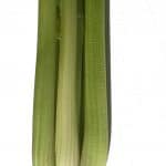 long Green Celery