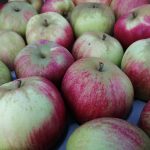 Photo of Worcester Apples